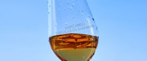 BG Essential Fino Manzanilla Guide