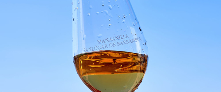 BG Essential Fino Manzanilla Guide