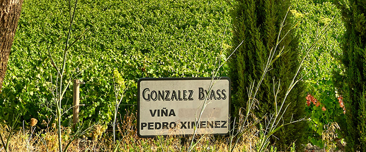 BG Pedro Ximenez Guide