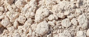 BG The Albariza Soils of the Marco de Jerez